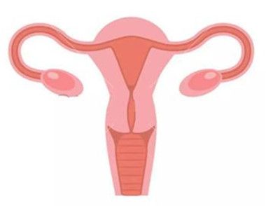 女性如何判斷子宮前後位的正常值 子宮前位好還是後位好