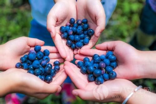 蓝莓适合什么人吃