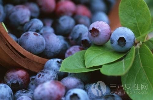 蓝莓如何保存和清洗