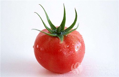 西紅柿怎麼保存