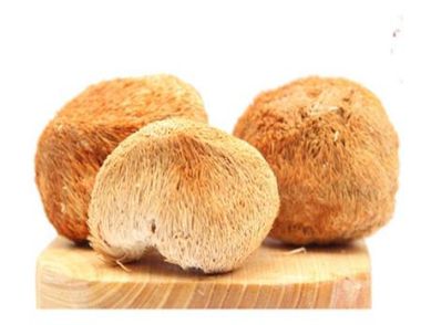 吃猴頭菇有什麼好處 猴頭菇有哪些營養價值