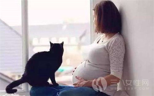 女人怀孕的最佳时间 女人哪种姿势容易怀孕