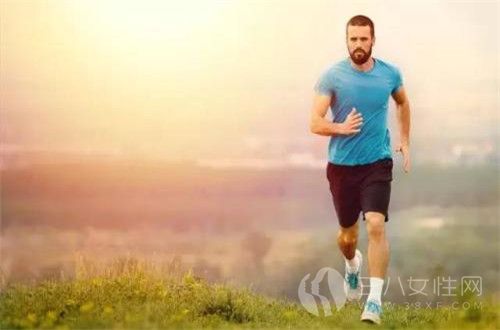 每天晨跑可以减肥吗