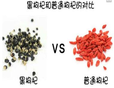黑枸杞是什麼有怎樣的作用 黑枸杞和紅枸杞有什麼區別