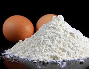 什么是蛋白粉 蛋白粉有哪些功效与作用