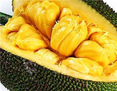 菠蘿蜜的功效與作用是什麼 吃菠蘿蜜有什麼禁忌