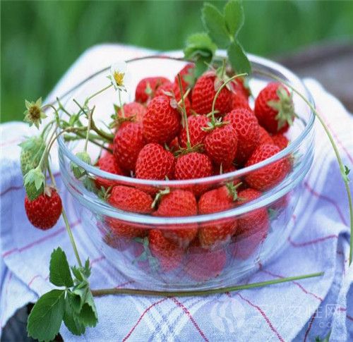 草莓的营养价值有哪些 草莓要如何挑选2.jpg