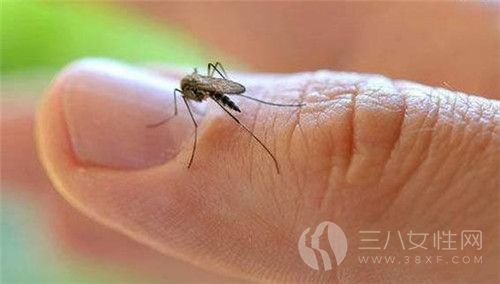 怎麼去蚊子咬的疤痕.jpg