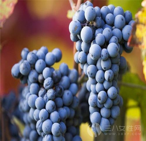 葡萄的作用有哪些 葡萄的食用禁忌有哪些2.jpg