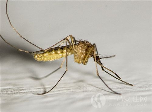蚊子喜欢叮咬什么血型的人.jpg