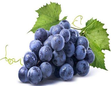 葡萄的作用有哪些 葡萄的食用禁忌有哪些