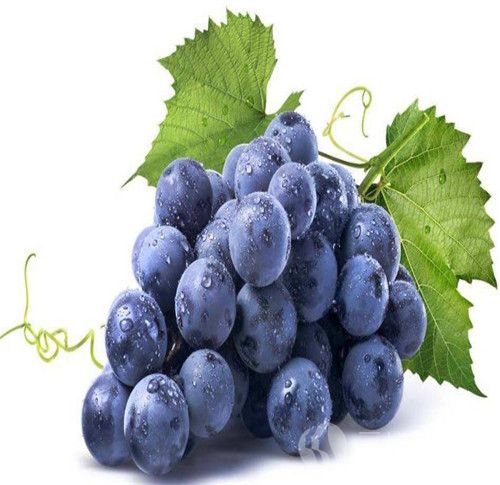 葡萄的作用有哪些 葡萄的食用禁忌有哪些.jpg