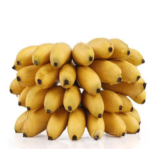芭蕉和香蕉的区别是什么 芭蕉有什么功效和作用1.jpg