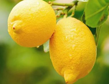 檸檬有哪些功效 檸檬怎麼吃比較好
