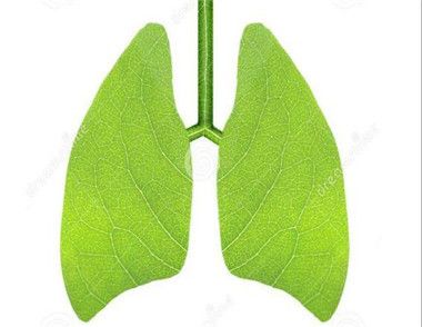秋天怎么养肺 为什么秋天要养肺