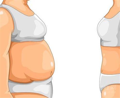 顽固性与单纯性肥胖的区别 顽固性肥胖的种类1.jpg
