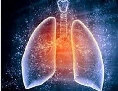 秋天養肺注重什麼 秋天多喝水養肺嗎