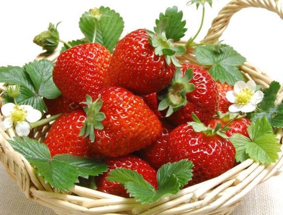 孕妇便秘吃草莓