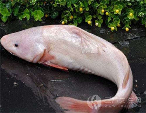 皮肤发炎不能吃海鱼