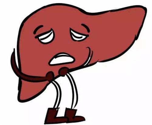 肝炎的种类有哪些 肝炎的早期症状2.jpg
