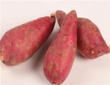 紅薯的功效與作用 紅薯的食用禁忌