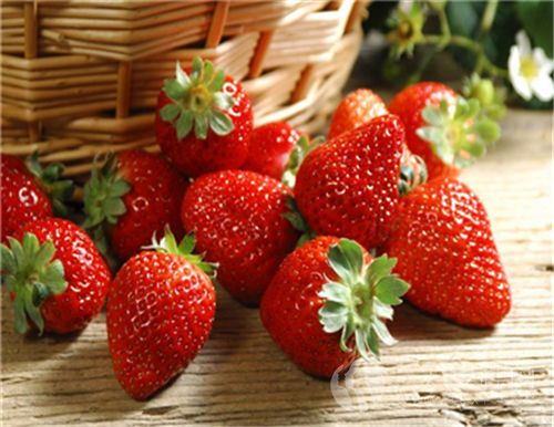 吃草莓可以瘦背