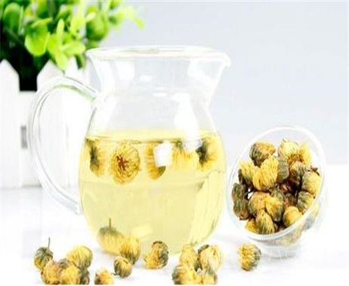 菊花茶的种类有哪些 菊花茶有什么功效和作用.jpg