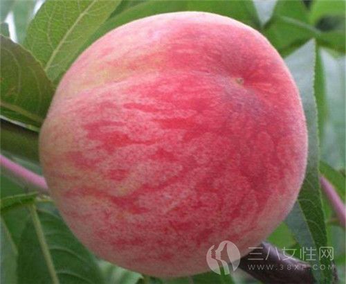 孕妇可以吃桃子吗 孕妇吃桃子有什么好处.jpg