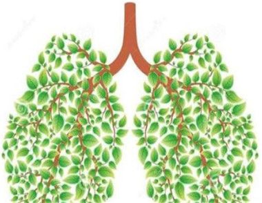 秋季養肺怎麼做 這幾點要謹記
