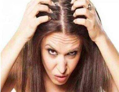 头发出油是湿气重吗 湿气和头发间的纠葛
