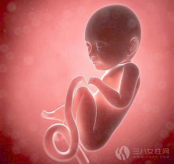 孕妇心脏不好对胎儿.jpg