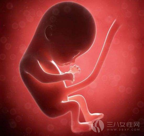 孕妇心脏不好对胎儿1.jpg
