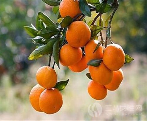橘子是凉性还是热性 吃橘子要注意的事1.jpg