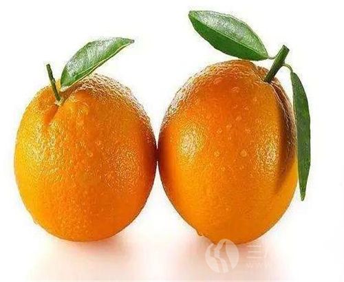 秋季吃橘子的作用有哪些 这五点你是知道吗2.jpg