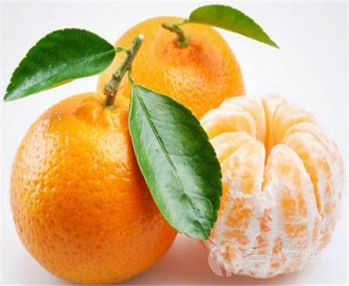 橘子是什么季节的水果 和橘子有关的一些事1.jpg