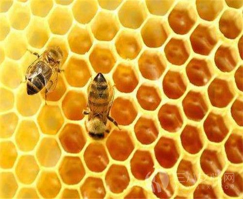 蜂胶是什么 蜂胶的功效是什么.jpg