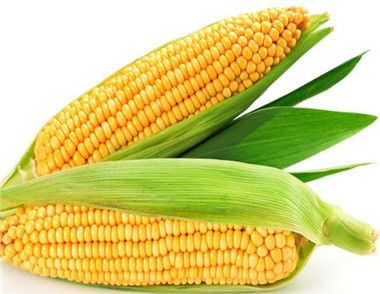 玉米可以減肥嗎 怎麼吃減肥