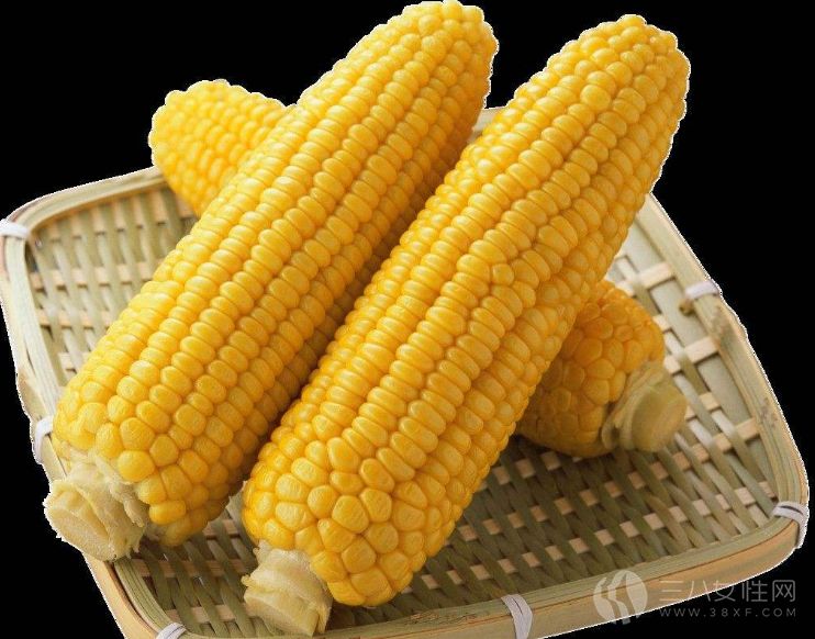 玉米可以減肥嗎.png