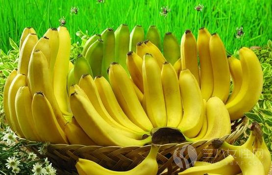 哪些人不能吃香蕉.png