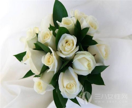 白玫瑰的花語是什麼 送什麼人合適2.jpg