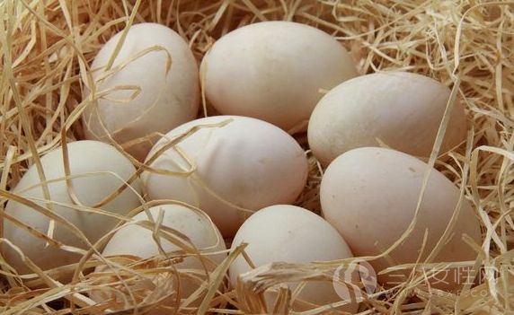 鸡蛋可以减肥吗.png