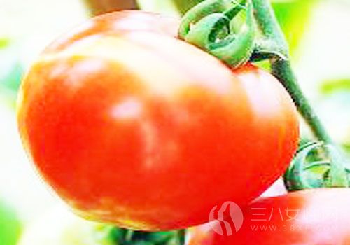 西紅柿蜂蜜麵膜的功效
