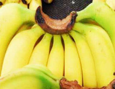 香蕉蜂蜜麵膜怎麼做 減少走進護膚誤區