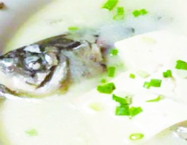 鯽魚豆腐湯的做法 怎麼製作鯽魚豆腐湯更鮮美