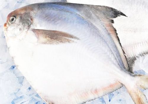 海鲳鱼的营养价值