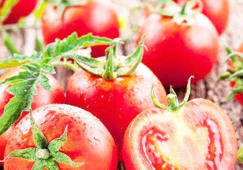 西红柿减肥注意事项