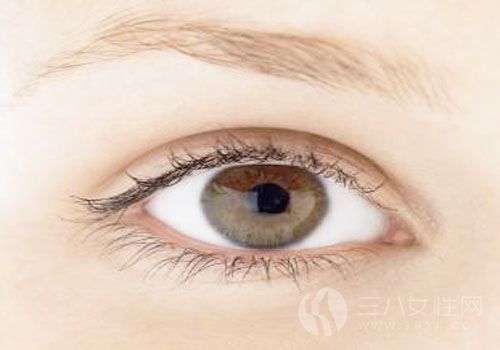 橄榄油眼部护理