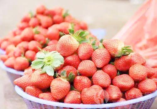 哪种草莓不能买