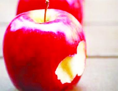 早上空腹吃苹果减肥吗 饮食减肥的注意事项