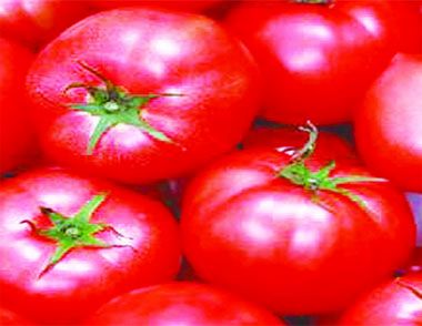 番茄美白麵膜的做法 使用番茄美白麵膜的注意事項